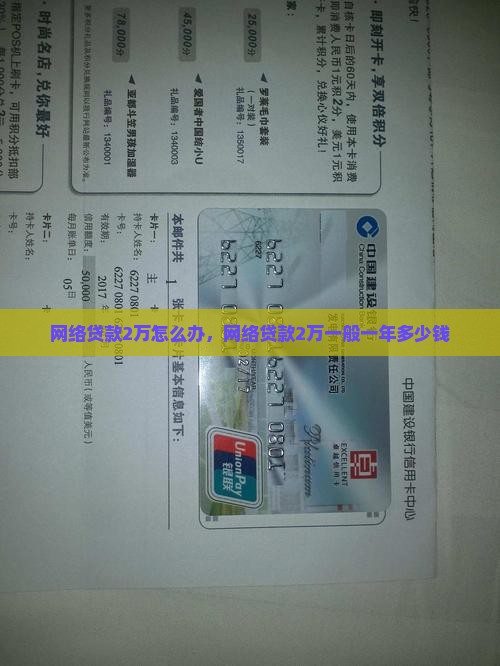 网络贷款2万怎么办