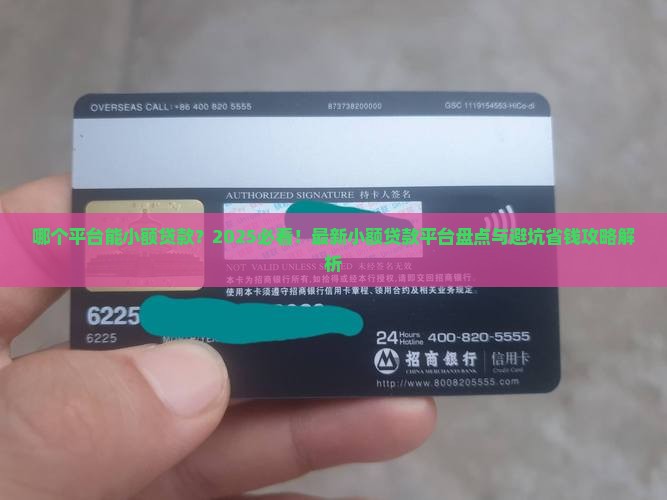 哪个平台能小额贷款
