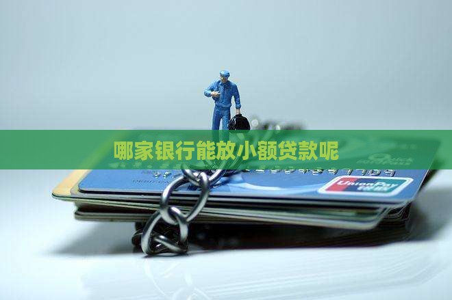 哪家银行能放小额贷款呢