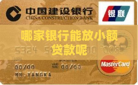 哪家银行能放小额贷款呢