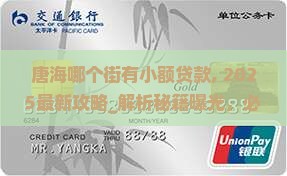 唐海哪个街有小额贷款