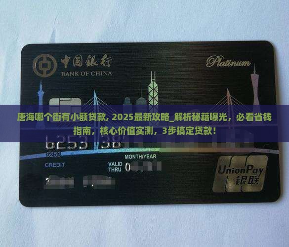 唐海哪个街有小额贷款
