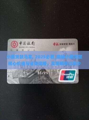 小额贷款马某