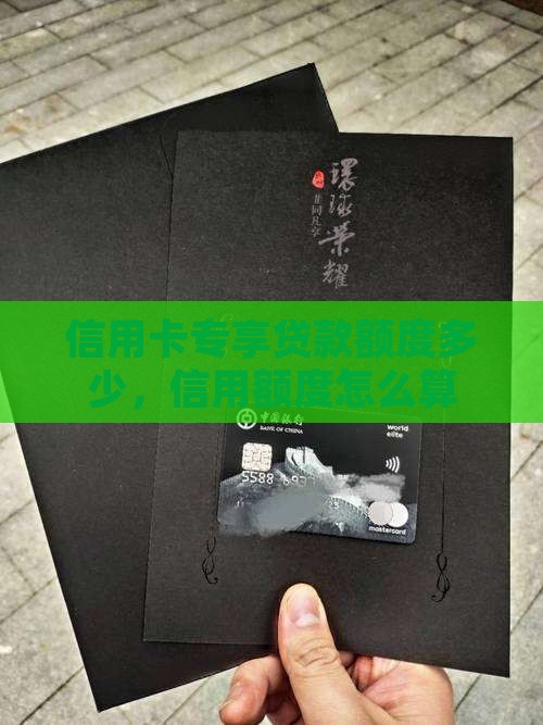信用卡专享贷款额度多少