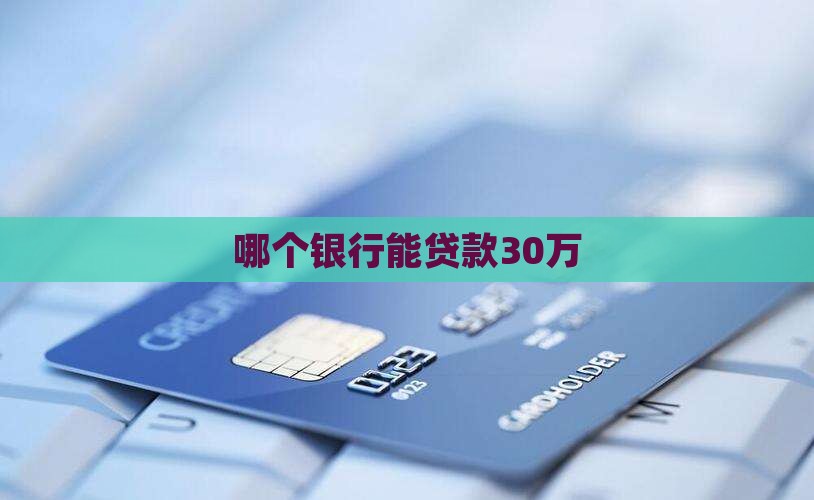 哪个银行能贷款30万