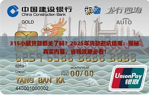 315小额贷款都关了吗