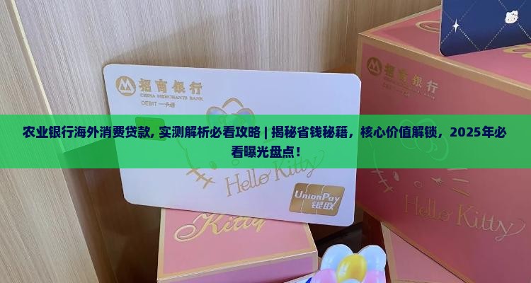 农业银行海外消费贷款