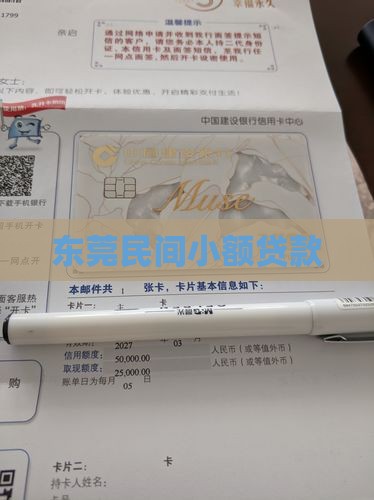东莞民间小额贷款