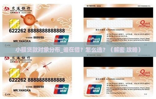 小额贷款对象分布