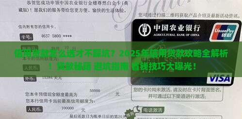 信用贷款支持措施