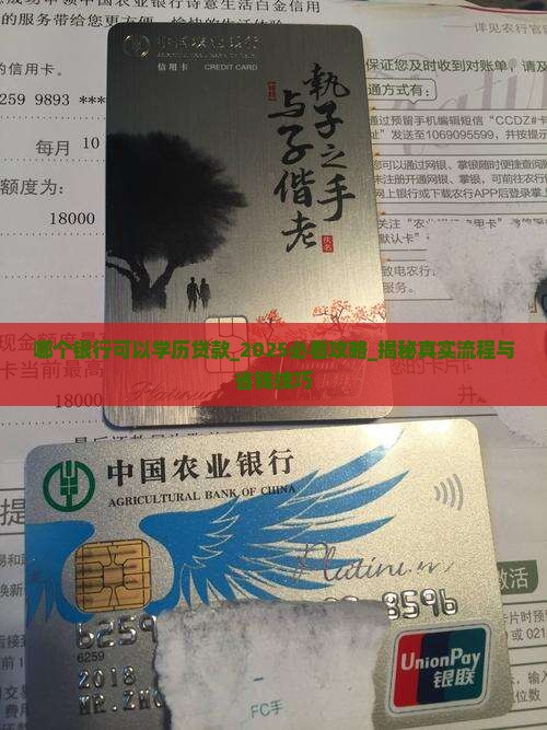 哪个银行可以学历贷款