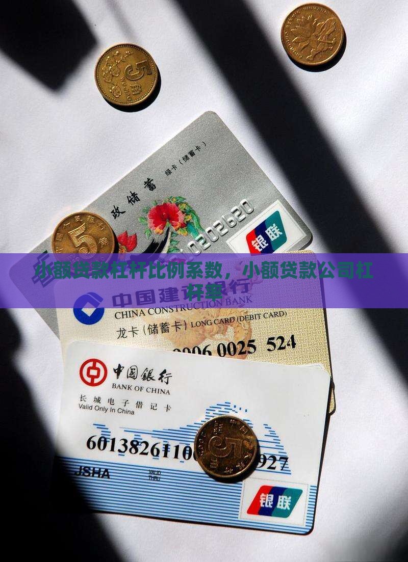 小额贷款杠杆比例系数