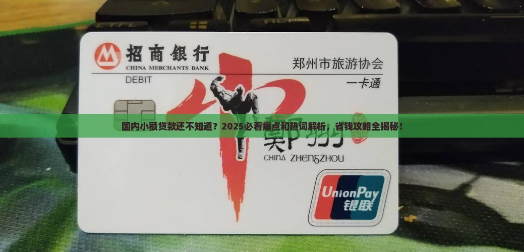 国内小额贷款