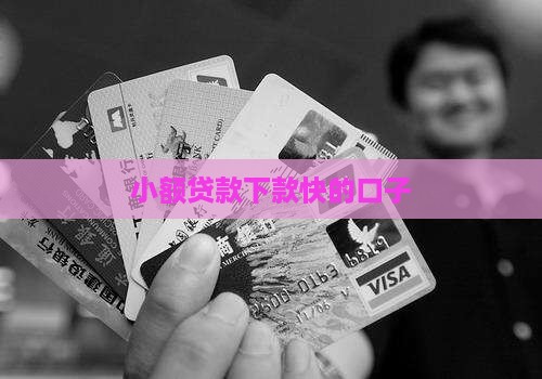 小额贷款下款快的口子