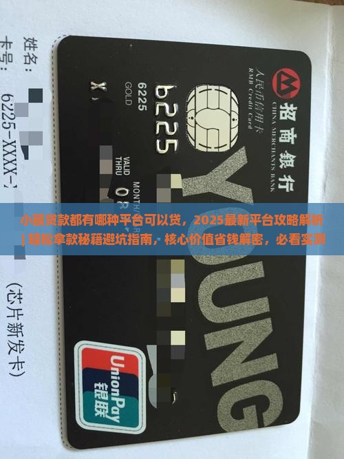 小额贷款都有哪种平台可以贷