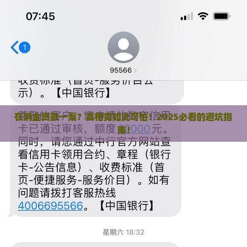 在消金贷款一案