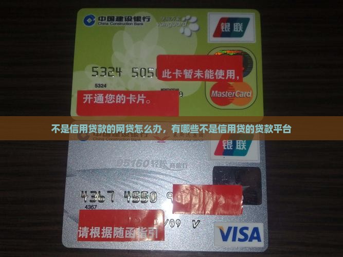 不是信用贷款的网贷怎么办