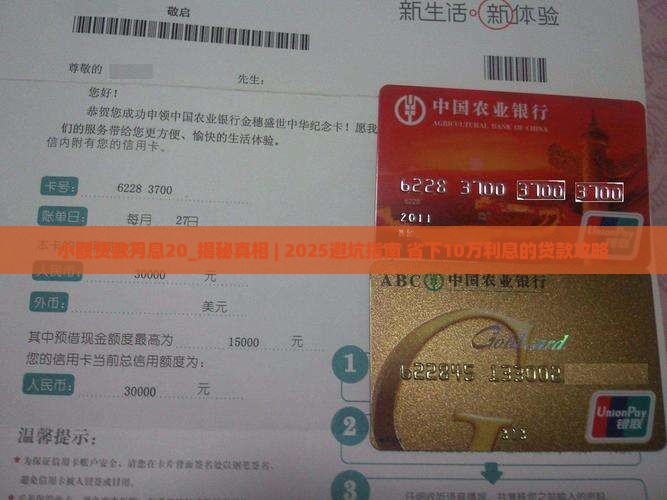 小额贷款月息20