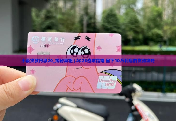小额贷款月息20