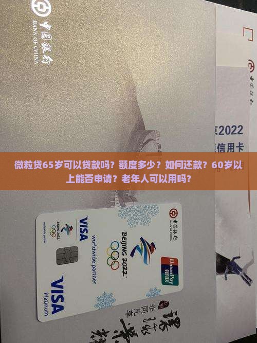 微粒贷65岁可以贷款吗