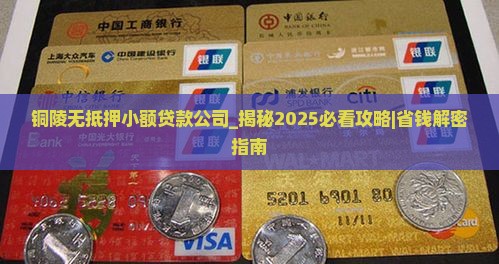 铜陵无抵押小额贷款公司