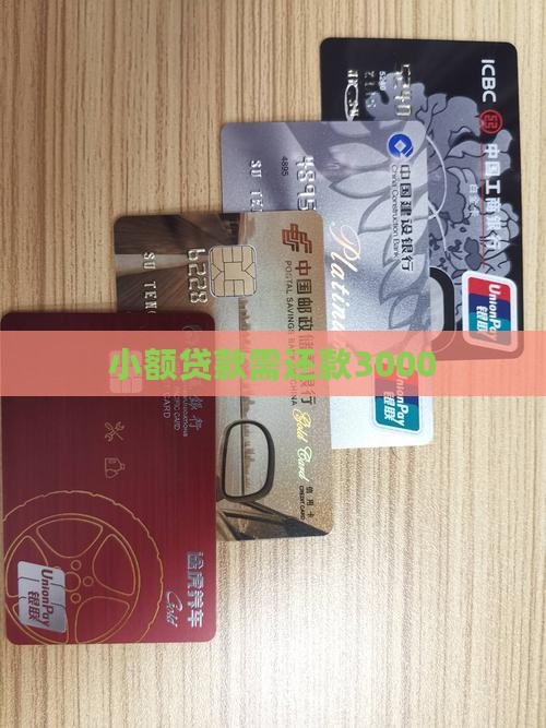 小额贷款还3000