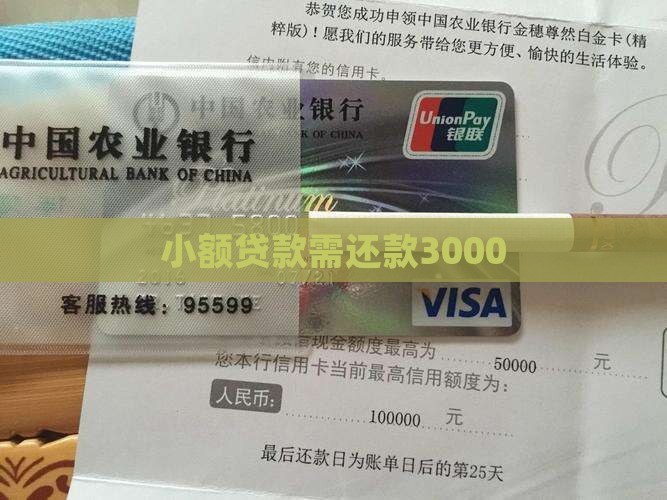 小额贷款还3000