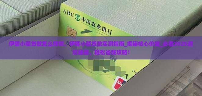 伊隆小额贷款怎么样啊