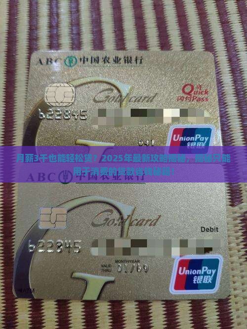 只能用于消费的贷款