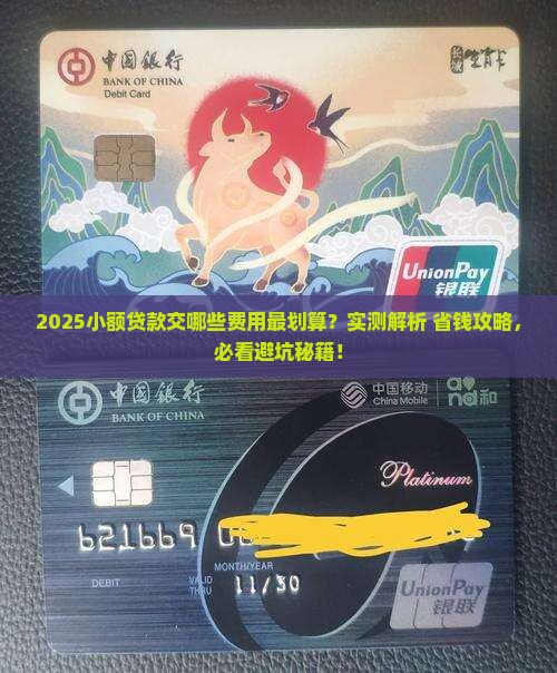 小额贷款交哪些费用合适