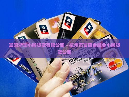 富阳浙丰小额贷款