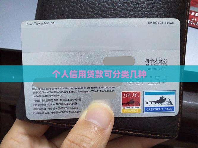 个人信用贷款可分类几种