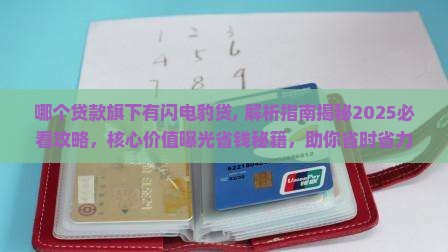 哪个贷款旗下有闪电豹贷