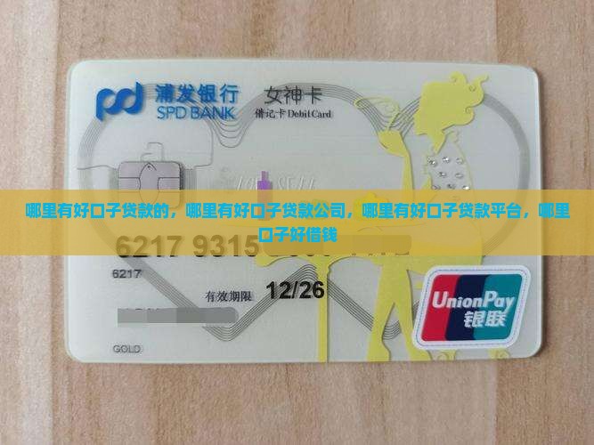 哪里有好口子贷款