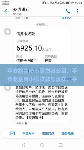 平安路金所小额贷款