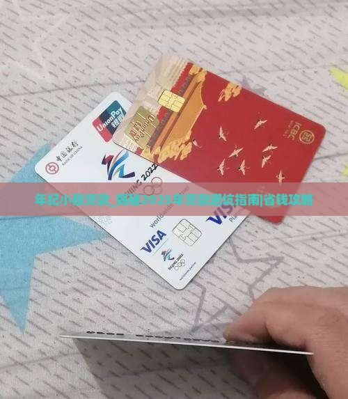 年纪小额贷款