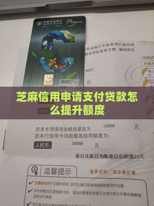 芝麻分660怎么贷款