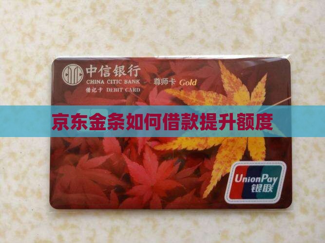 如何贷款京东金条的额度