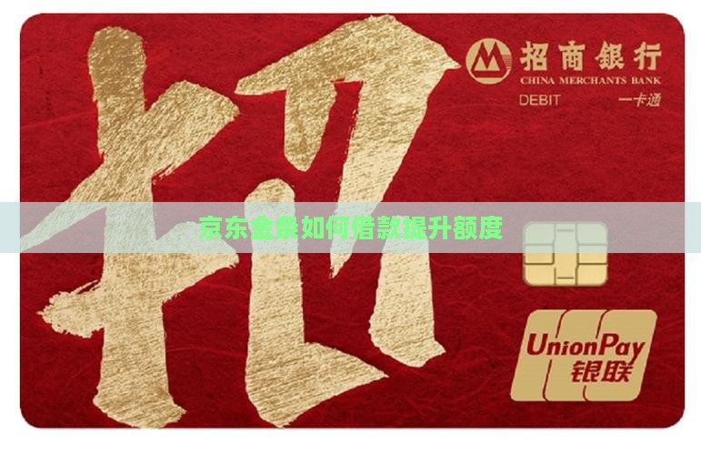 如何贷款京东金条的额度
