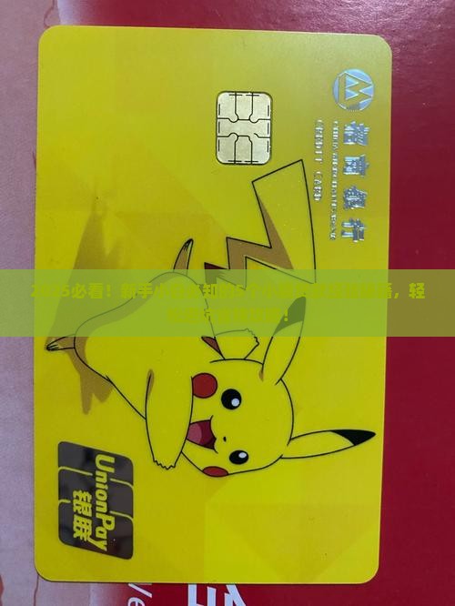 小额贷款经验范围包括