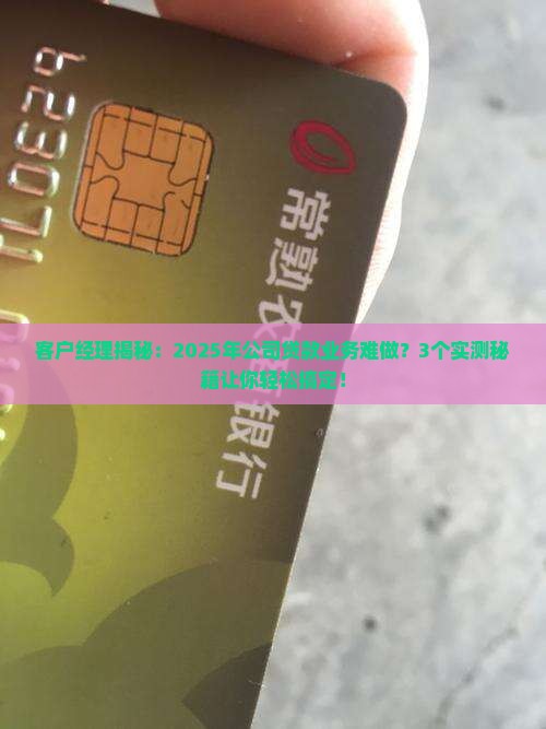 公司贷款业务难做
