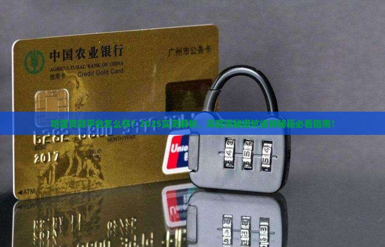 哈雷贷款平台怎么样