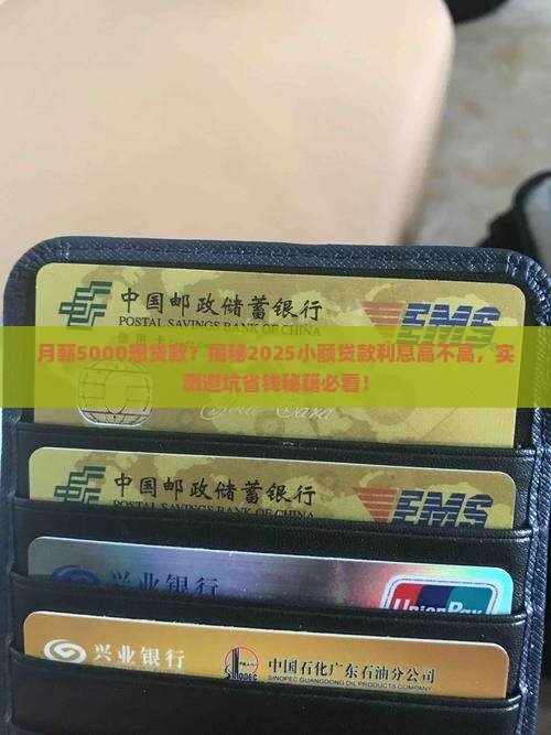 多少钱为小额贷款利息高