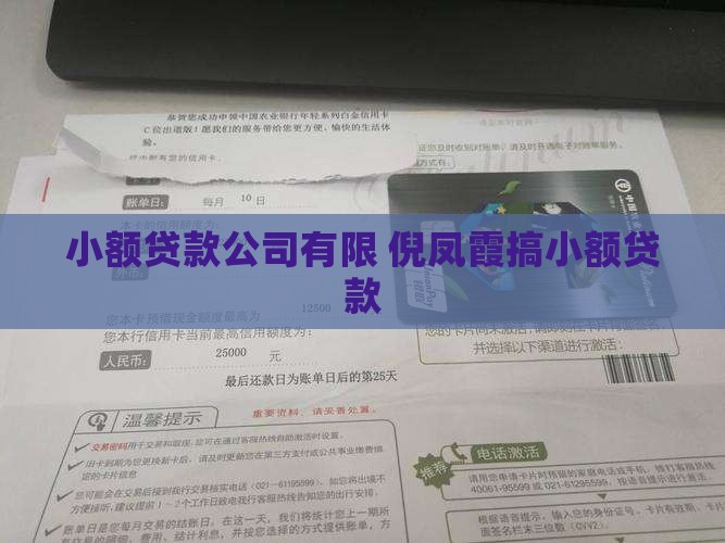倪凤霞搞小额贷款