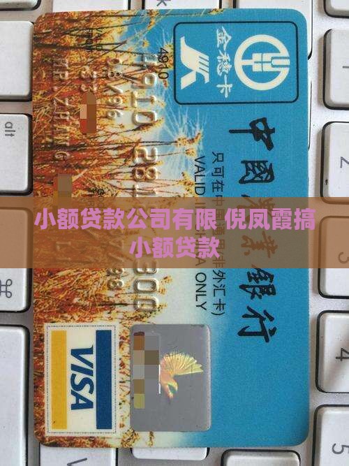 倪凤霞搞小额贷款
