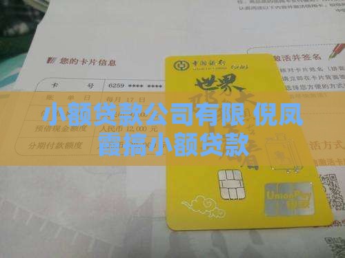 倪凤霞搞小额贷款