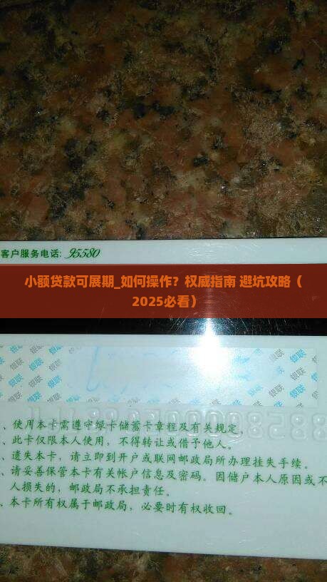小额贷款可展期