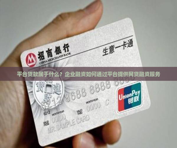 平台贷款属于什么贷款