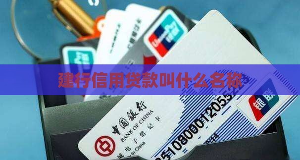 建行信用贷款叫什么名称