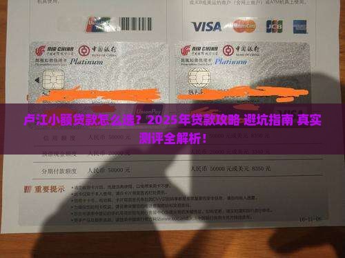 卢江小额贷款